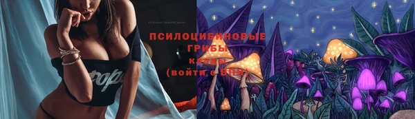 spice Алексин
