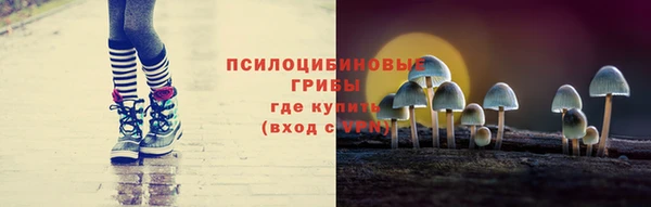 spice Алексин