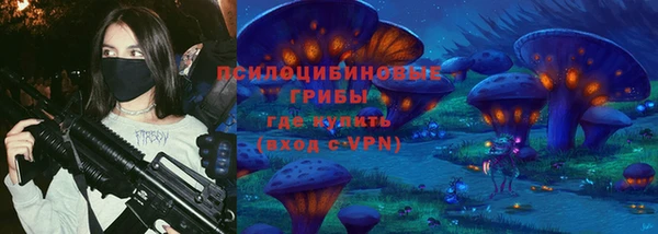 МДПВ Козловка